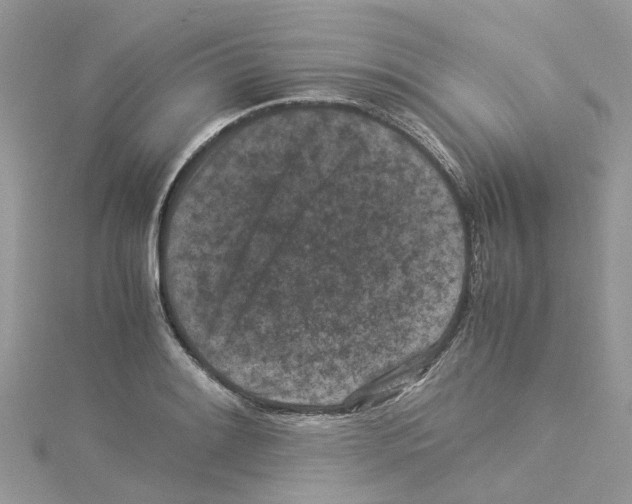 X0000114091084200911161032