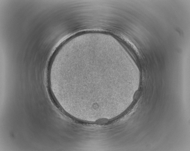 X0000114091085200911161032