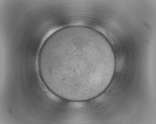 X0000114091086200911161032