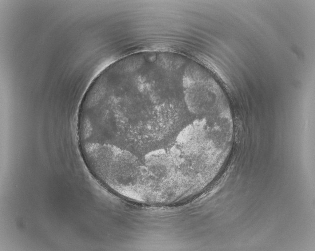 X0000114091087200911161032