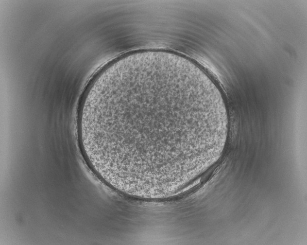 X0000114091088200911161032