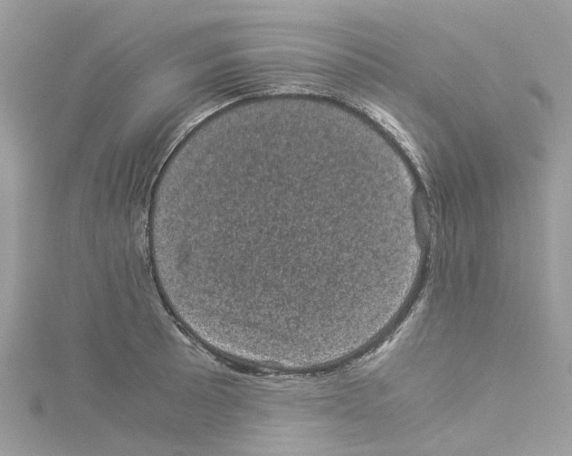 X0000114091089200911161032