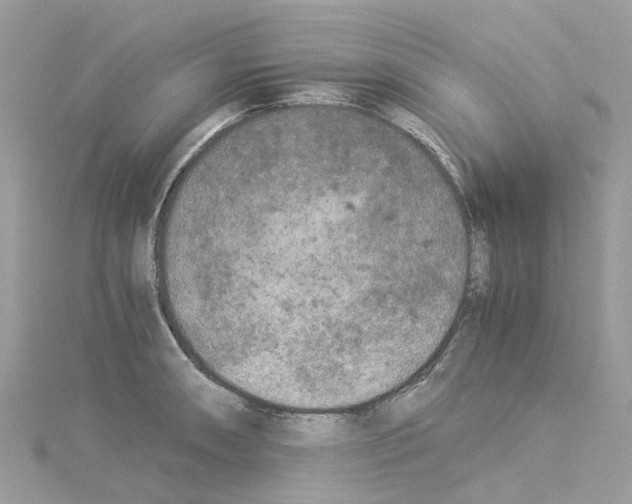 X0000114091090200911161032