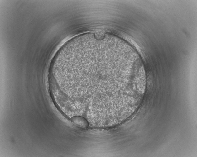 X0000114091091200911161032