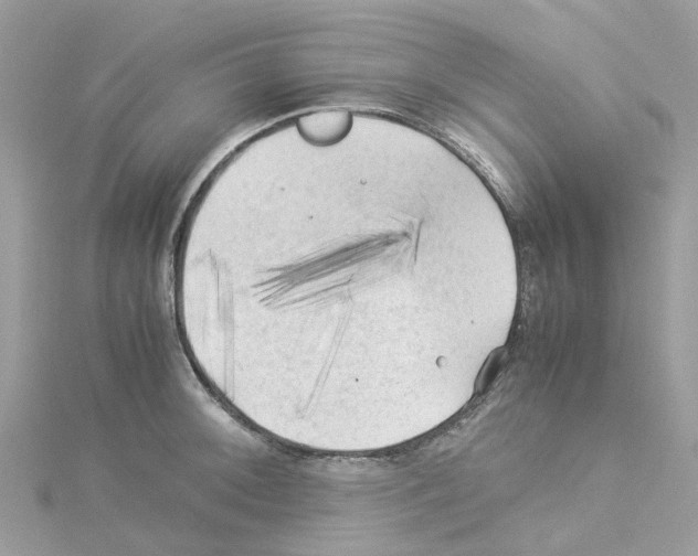 X0000114091092200911161032