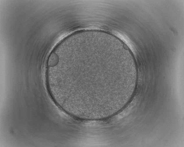 X0000114091093200911161032