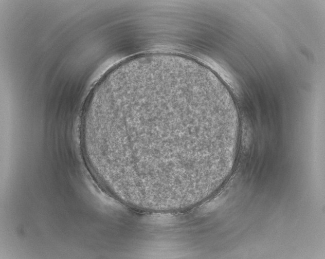 X0000114091094200911161032