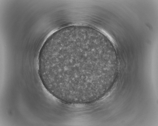 X0000114091095200911161032