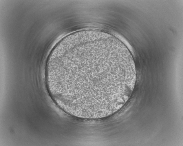 X0000114091099200911161031