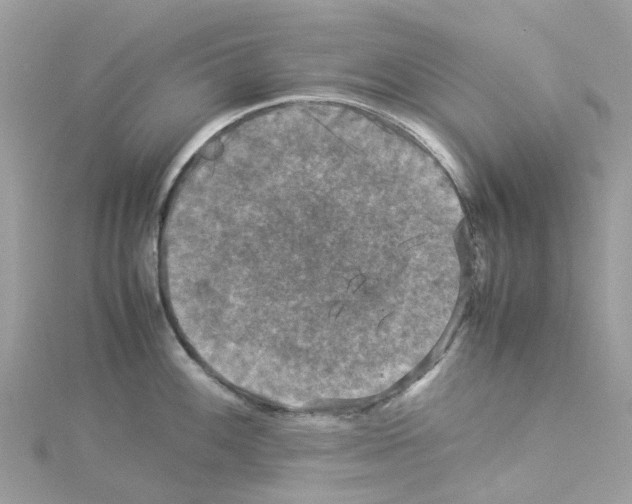 X0000114091100200911161031