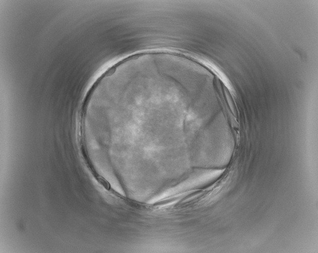 X0000114091101200911161031