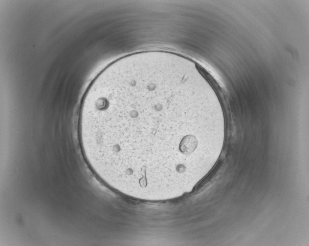 X0000114091102200911161031