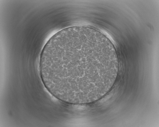 X0000114091103200911161031