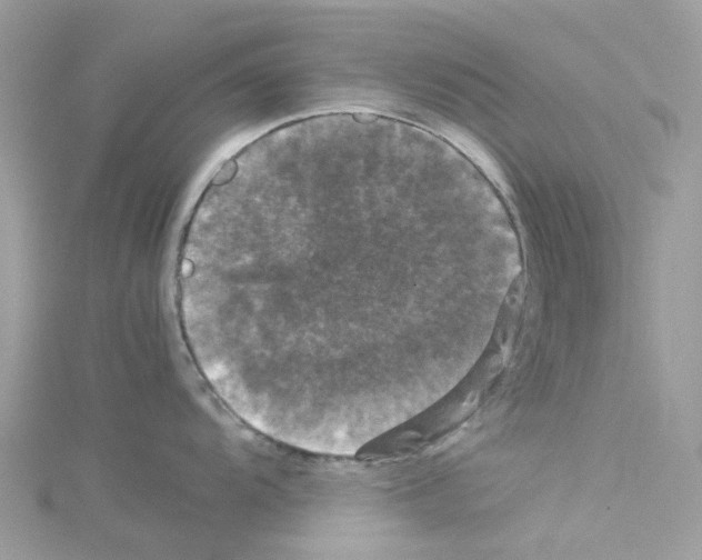 X0000114091104200911161031