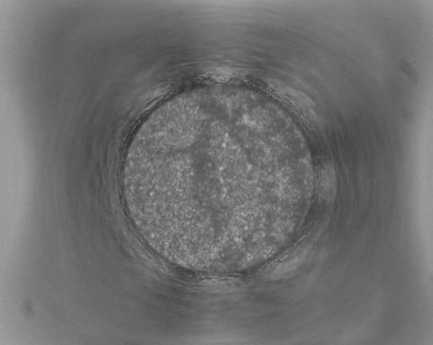 X0000114091105200911161031