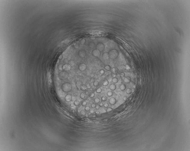 X0000114091106200911161031