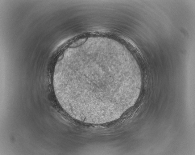 X0000114091112200911161031