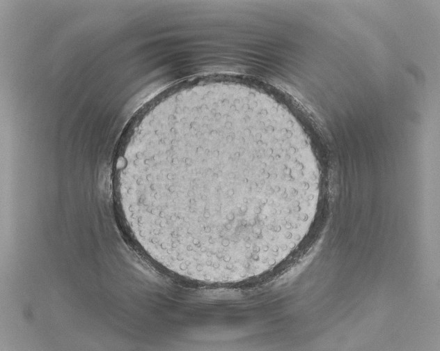 X0000114091113200911161031