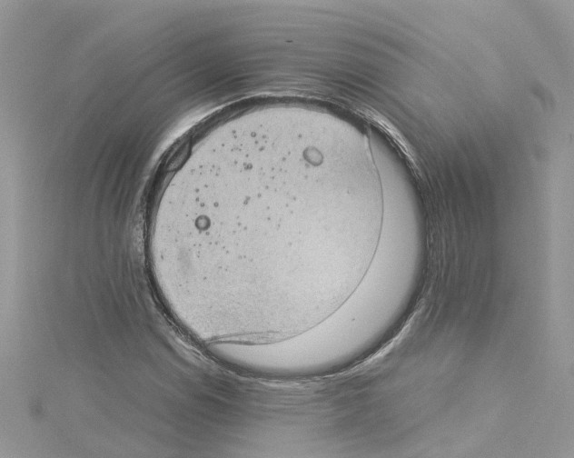 X0000114091114200911161031