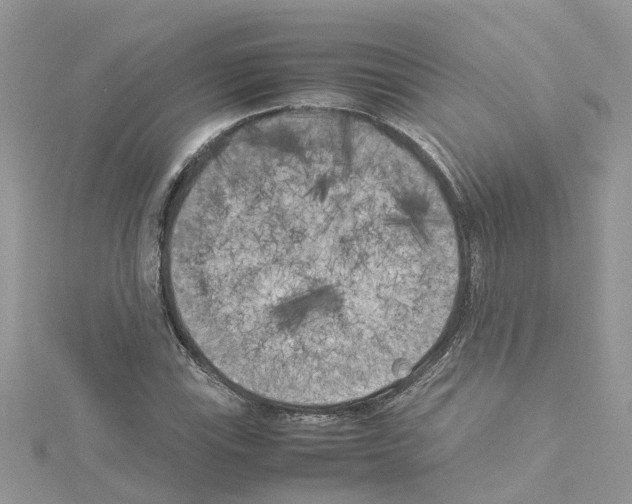 X0000114091115200911161031