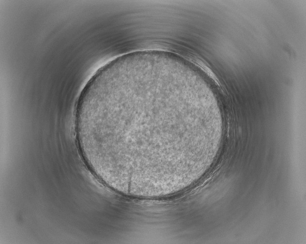 X0000114091116200911161031