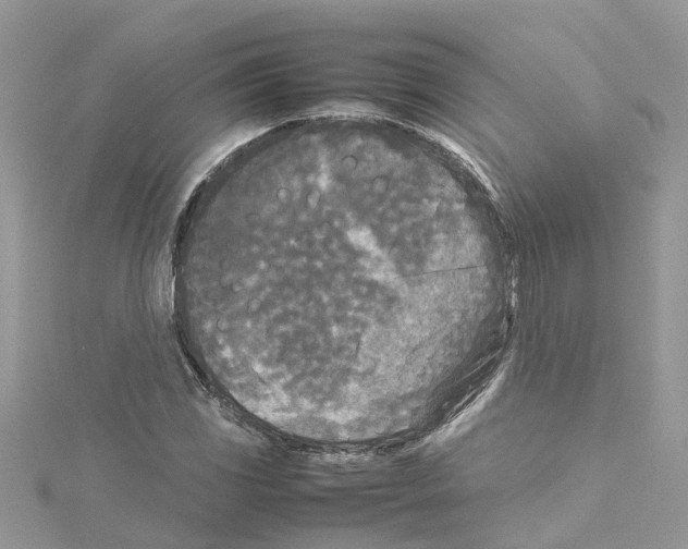 X0000114091117200911161031