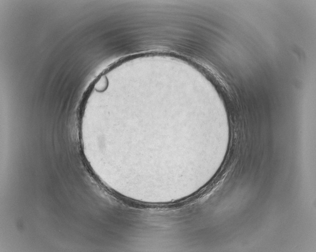 X0000114091118200911161031