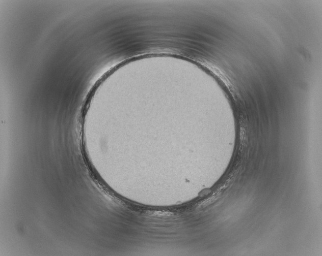 X0000114091119200911161031