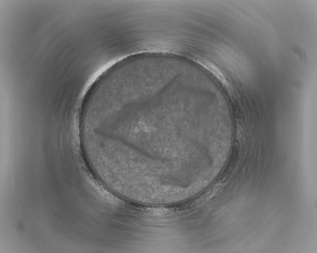 X0000114091120200911161031