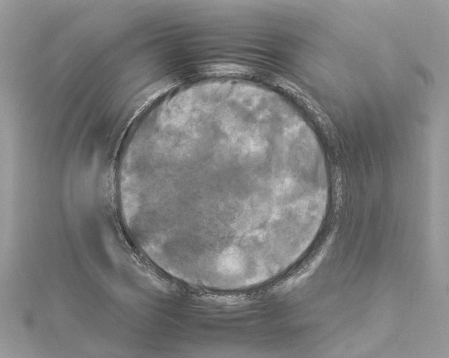 X0000114091121200911161031