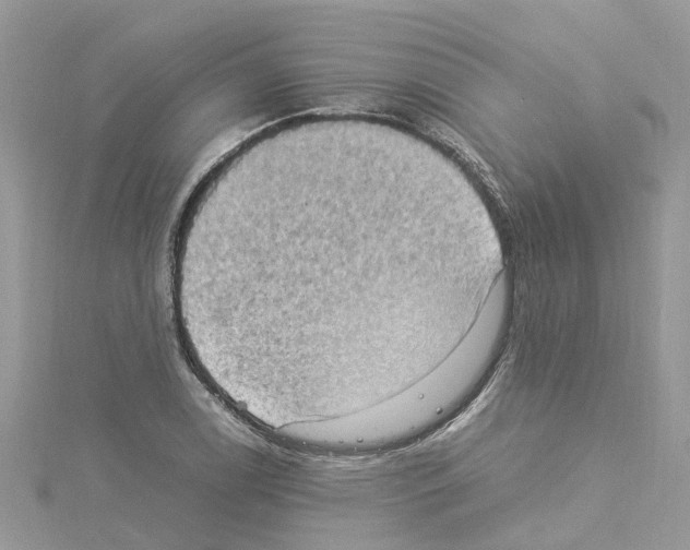 X0000114091122200911161031