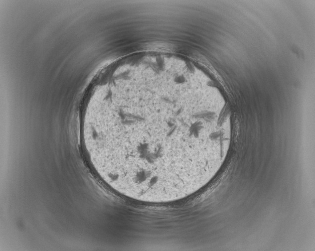 X0000114091123200911161031