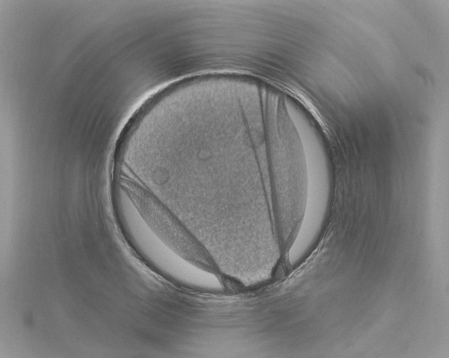 X0000114091124200911161031