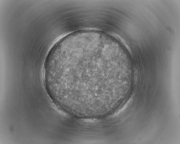 X0000114091125200911161031