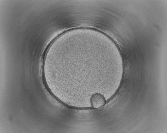 X0000114091126200911161031