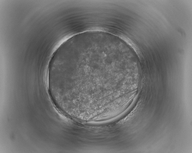 X0000114091127200911161031