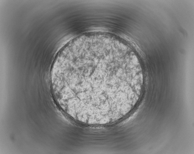 X0000114091129200911161031