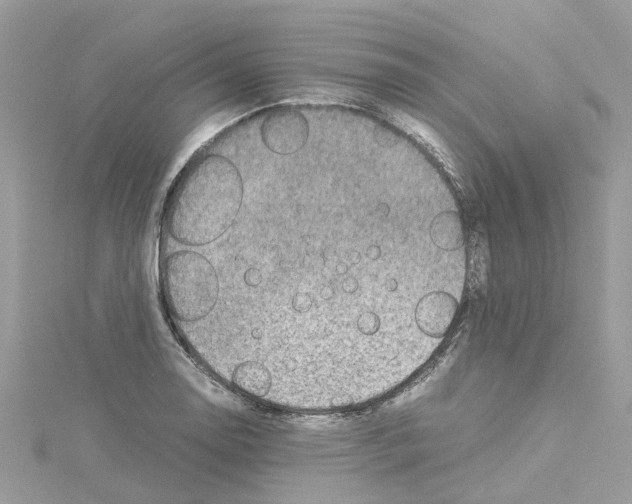 X0000114091130200911161031