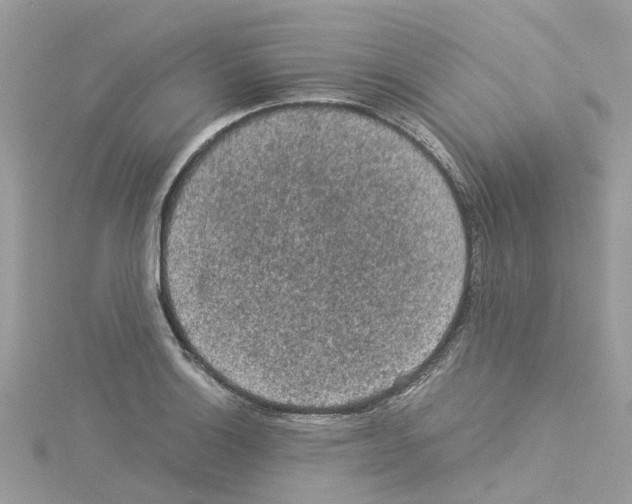 X0000114091132200911161031