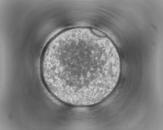 X0000114091134200911161031