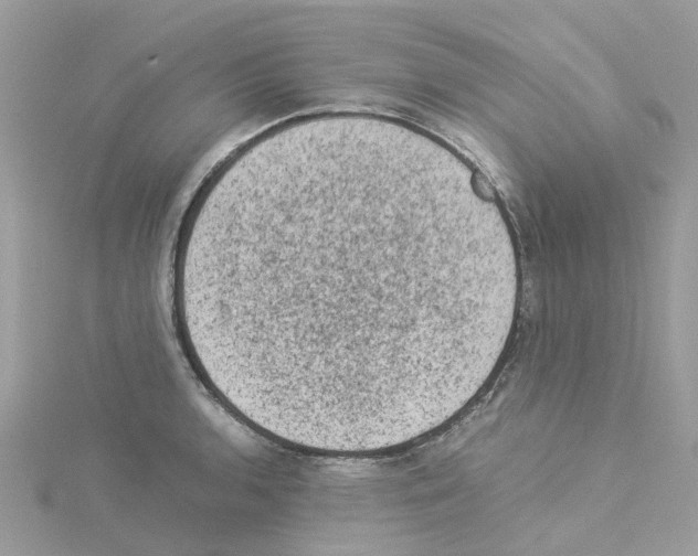 X0000114091136200911161031