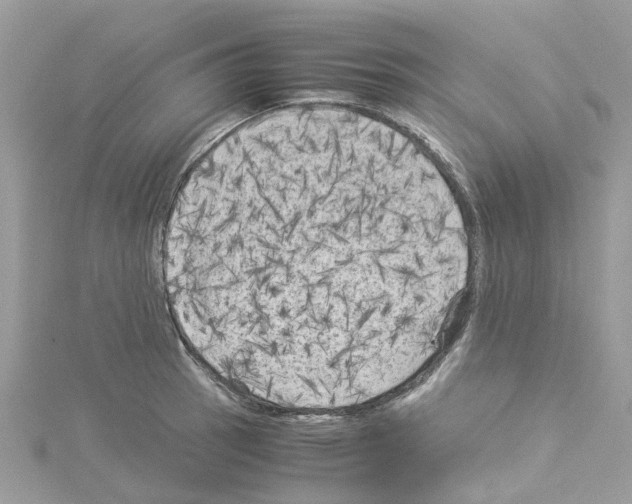 X0000114091137200911161031