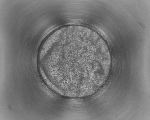 X0000114091138200911161031