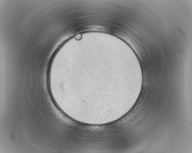 X0000114091139200911161031