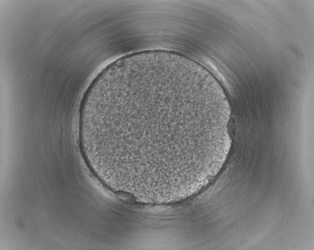 X0000114091140200911161031