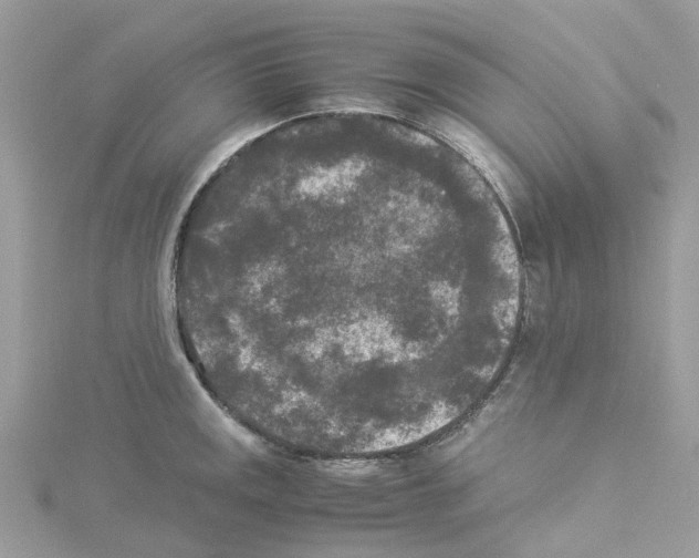 X0000114091141200911161031