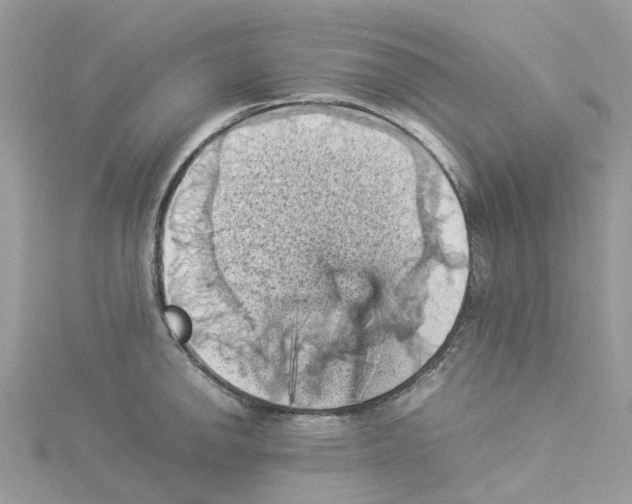 X0000114091142200911161031