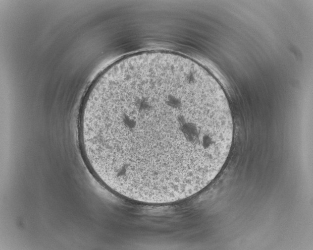 X0000114091143200911161031