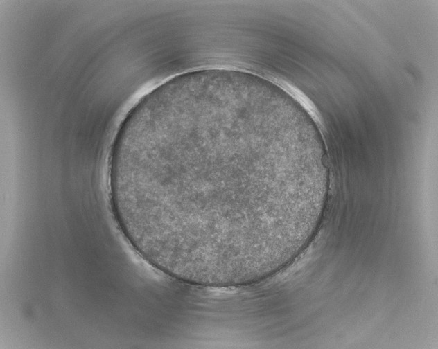 X0000114091144200911161031