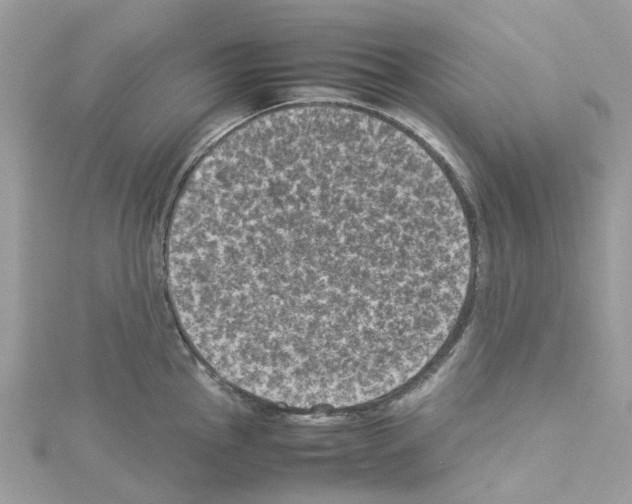 X0000114091145200911161031